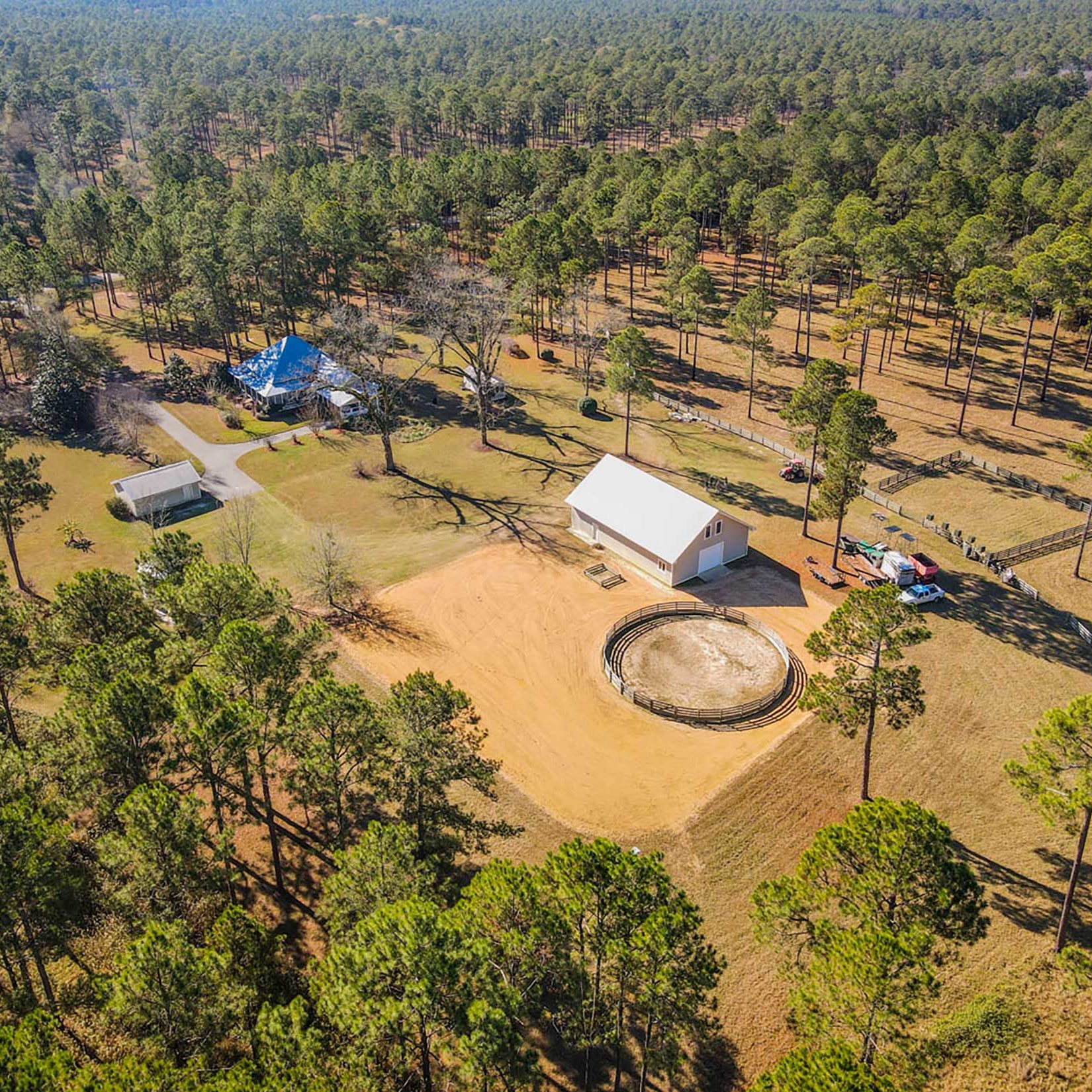 South Georgia Equestrian