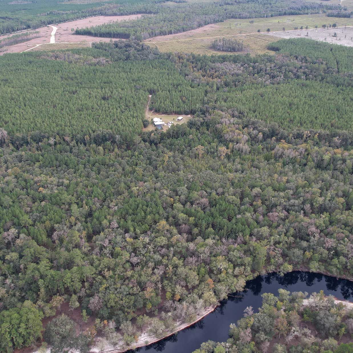 Suwannee River Lodge